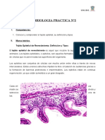 Histologia Lab Practicas 2