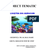 Proiect Tematic: Liniştea Din Adâncuri