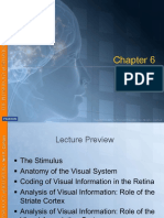 Carlson - Vision-Topik 9 PDF