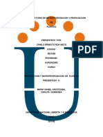 Informe Laboratorio de Micropropagacion y Propagacion