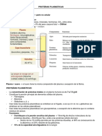 Proteínas Plasmáticas