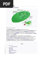 Prueba 4