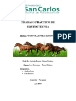 Pasturas Equinotecnia.