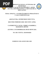 Ensayo Acompañamiento Pedagógico y Las Competencias