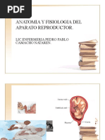 Anatomia y Fisiologia Del Aparato Reproductor