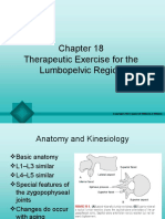 Therapeutic Exercise For The Lumbopelvic Region