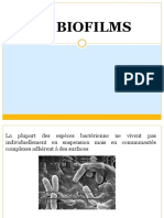 Biofilms Et Interaction Microbienne