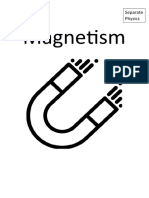 Magnetism: Separate Physics