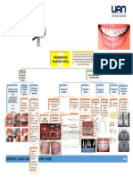 Mapa Conceptual de Procedimientos de Finalización y Detalle