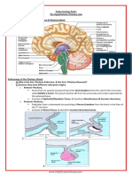 A&P - 2. The Hypothalamo-Pituitary Axis (9p) PDF