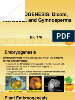 Embryogenesis: Dicots, Monocots, and Gymnosperms