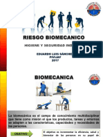 Riesgo Biomecanico-Elsp