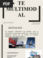 Transporte Multimodal (Pereira y Smith)