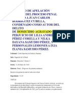 Recurso de Apelación Dentro Del Proceso Penal Seguido A Juan Carlos Rodríguez Cubilla