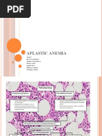 Aplastic Anemia