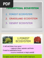 01c-Terrestial Ecosystem