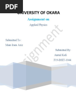 University of Okara: Assignment On