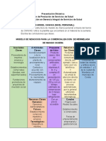  Canvas y Pareto