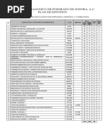 Plan Estudios Espanol Literatura IPPSON