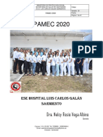 Pamec 2020