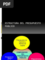 3 Estructura Del Presupuesto Publico