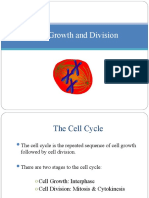 Cell Growth and Division