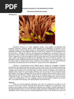 Microbial Diseases of The Respiratory System: Pertussis (Whooping Cough) Pathogenesis