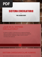 Sistema Circulatorio