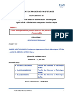 Etude de La Faisabilite Produi - Mohamed BOUZAFFOUR - 4237