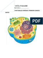 Clase 6 PDF