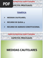 CLASE 07 - Aspectos Procesales - Derecho Procesal Constitucional - 2020-1 PDF