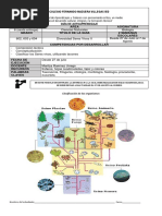 GUÍA 6 - 6° Diversidad Seres Vivos I