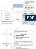 Mapa Conceptual SGC PDF