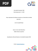 Ensayo Importancia de Las Finanzas Corporativas en El Desarrollo de La Actividad Empresarial