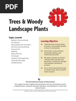 Trees & Woody Landscape Plants: Topics Covered