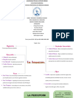 Semana 4 Sensación y Percepción