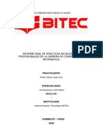 Informe-De-Practicas-Pre-Profesionales 300 PDF