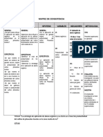 Matriz de Consistencia