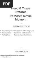 Blood & Tissue Protozoa