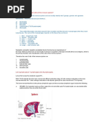 What Are The Main Cells of The Immune System?