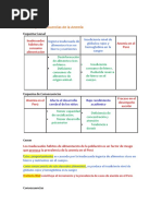 Esquema Causal de Anemia