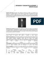 Actividad de Organos Fonoarticuladores y Funciones Orofaciales