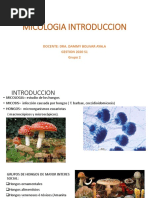 Micologia 2020 PDF