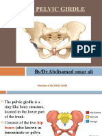 The Pelvic Girdle: By/Dr - Abdisamad Omar Ali