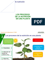 2CN 26 3P Procnutriplanta