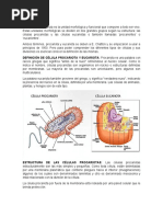 Texto Base