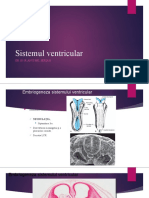 Sistemul Ventricular