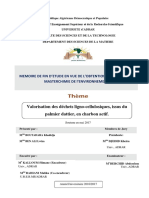 Mémoire Fin 0123 PDF