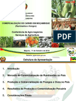 Comercialização de Carnes. Américo Da Conceição PDF