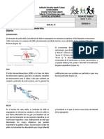 15 Cromosoma, Gen y Alelo Ciclo 4